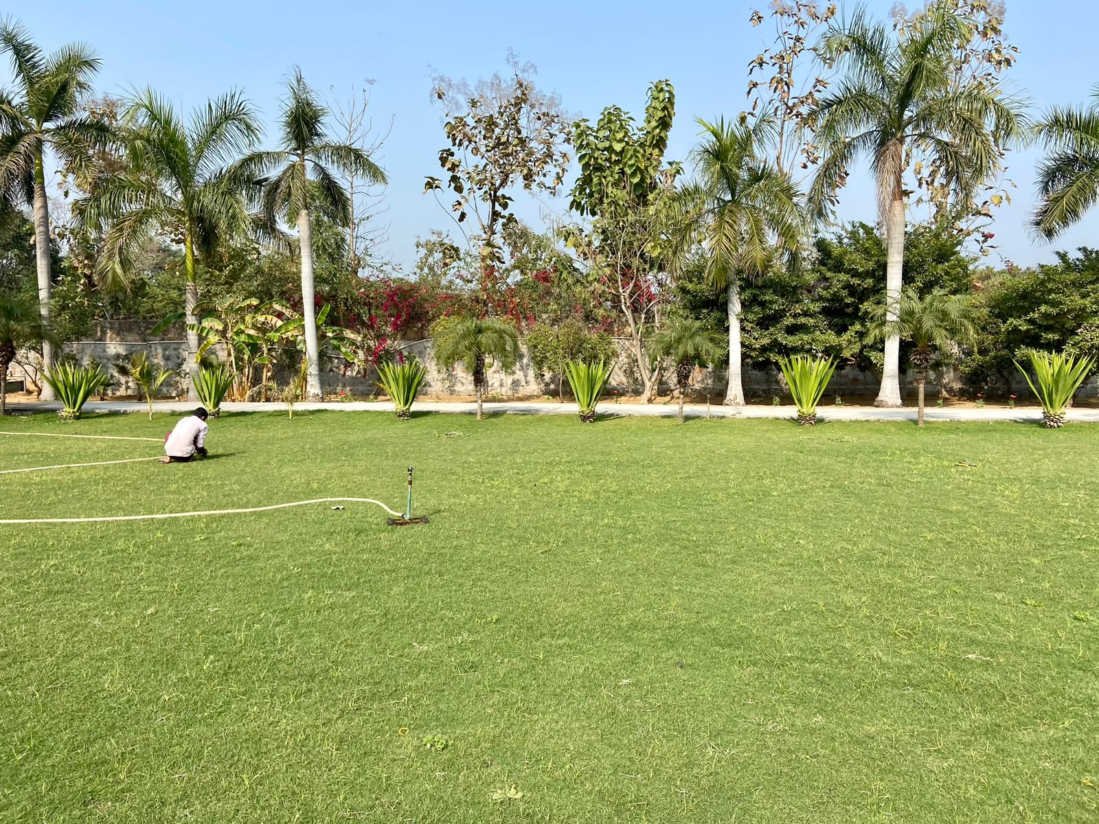 Agricultural Land with Farmhouse & Landscaped Lawn photo 3